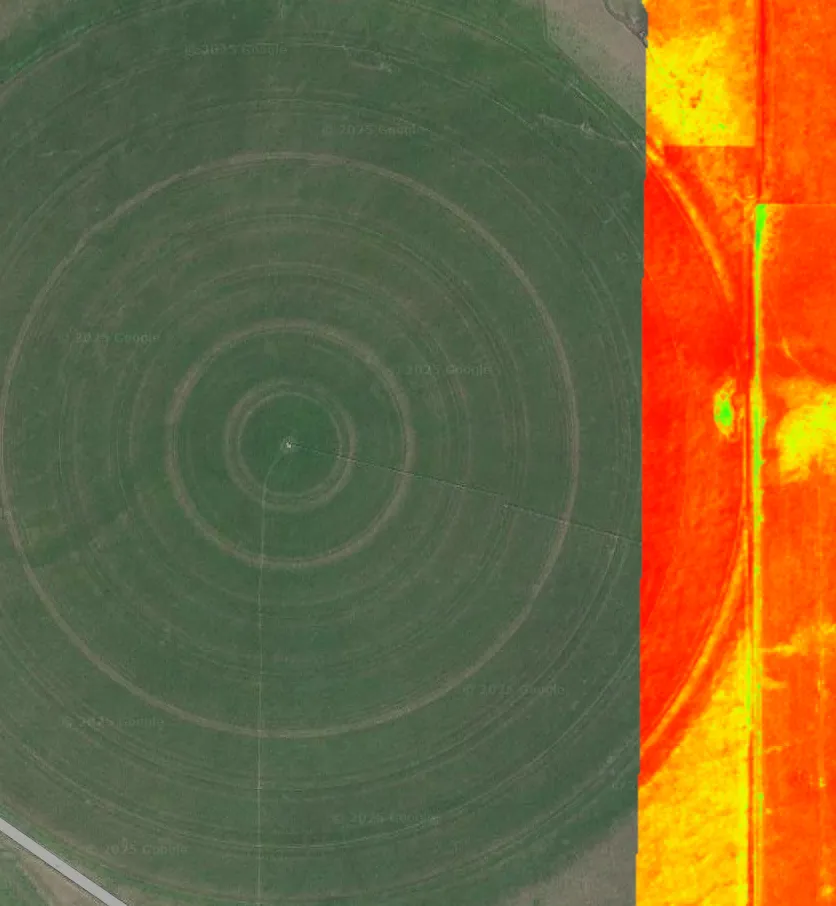 A view from above of a field. The image is split in two parts, one that's the NDVI field data, and the other is the visual image of the field.